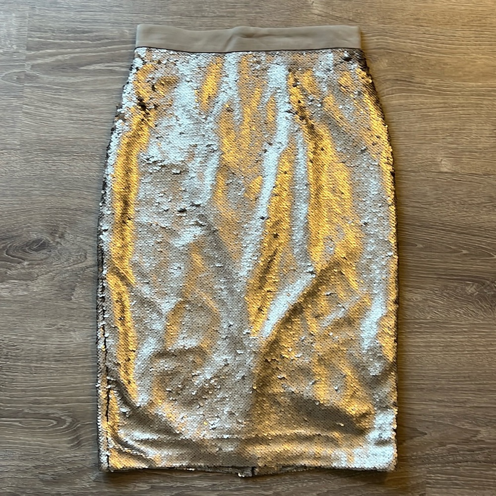 Sequin Skirt